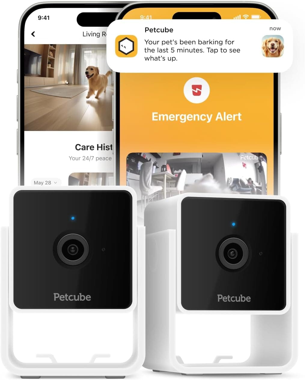 Petcube Cam The