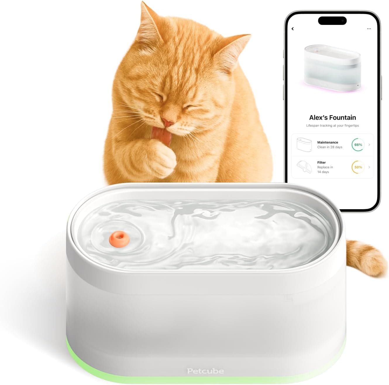 Petcube Pet Water Fountain